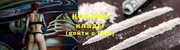 мдпв Касимов