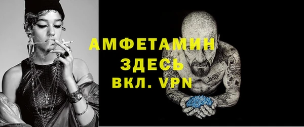 мдпв Каменногорск
