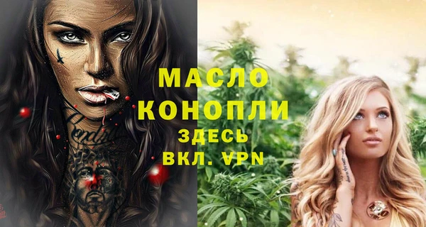 мдпв Каменногорск