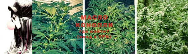 МДПВ Карпинск