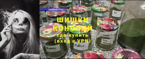 МДПВ Карпинск