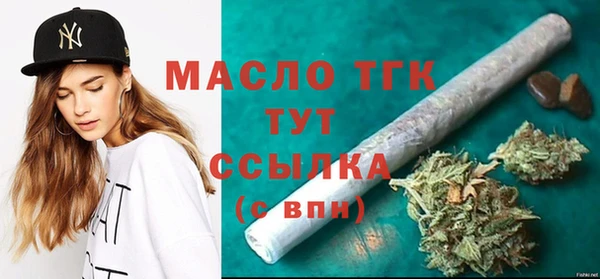 2c-b Инсар