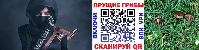 купить наркотик  Майкоп  Галлюциногенные грибы ЛСД 